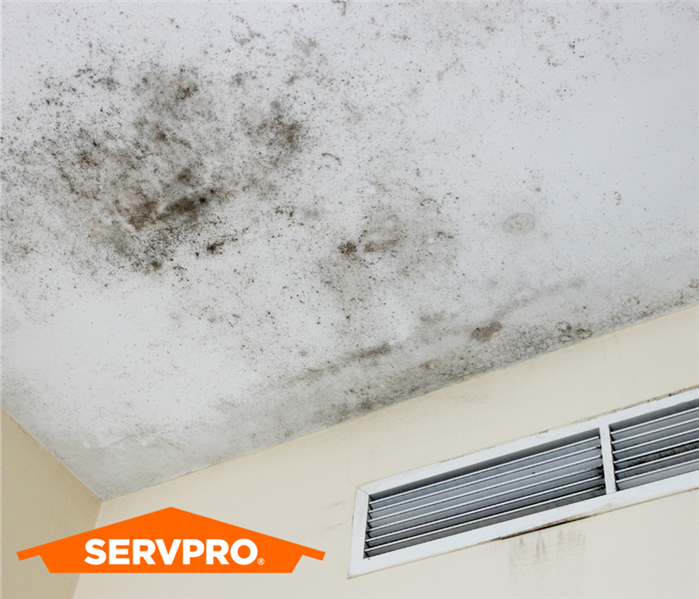 Mold on Ceiling of House