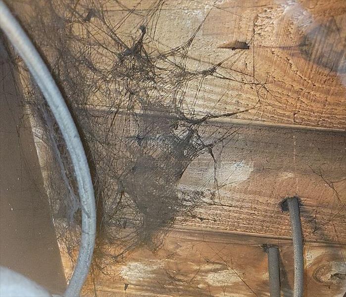 soot webs in attic