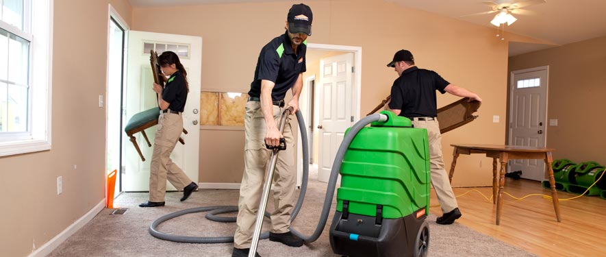 Fox Chase, PA cleaning services