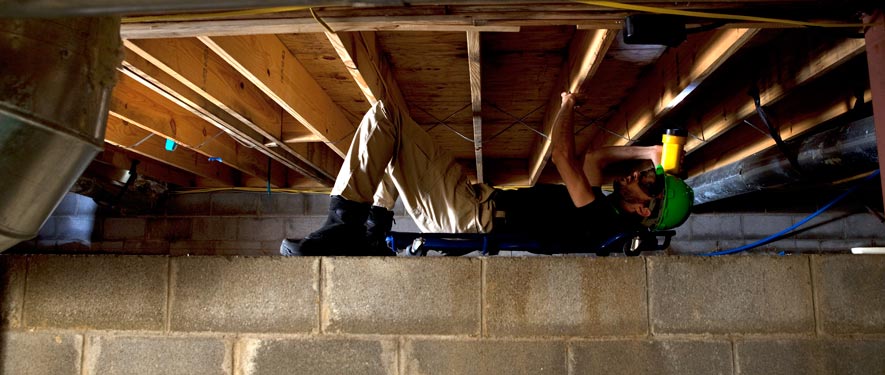 Fox Chase, PA mold removal